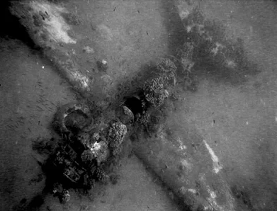 Diving Maui's Historic Helldiver