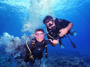 Maui Diamond Sea Sports place picture